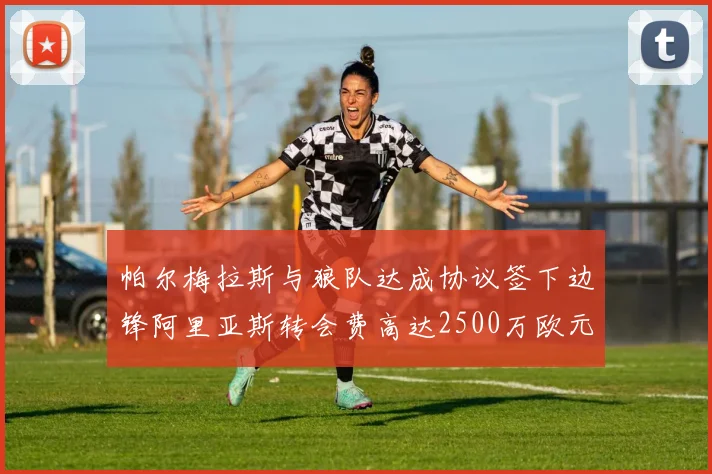 帕尔梅拉斯与狼队达成协议签下边锋阿里亚斯转会费高达2500万欧元