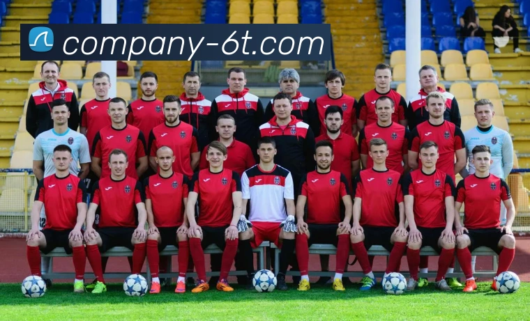 6T体育平台生态图